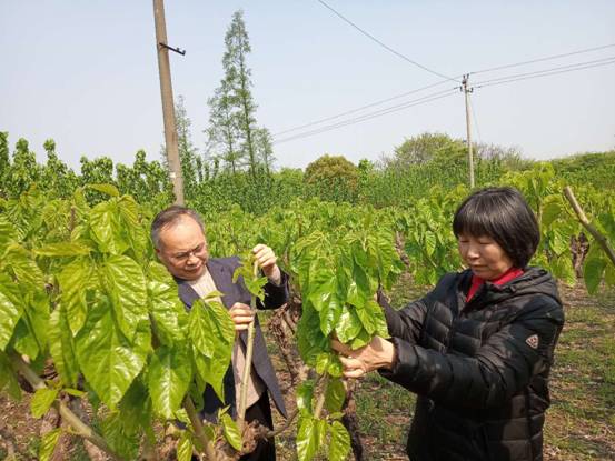 微信圖片_20190417153650