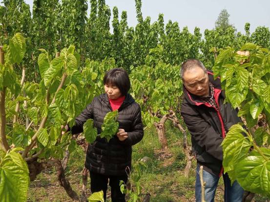 微信圖片_20190417153705