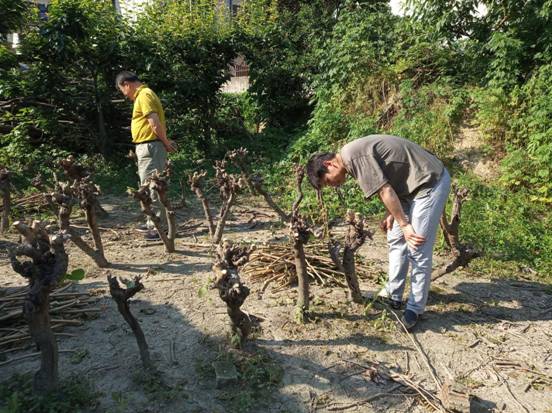 微信圖片_20190528141719